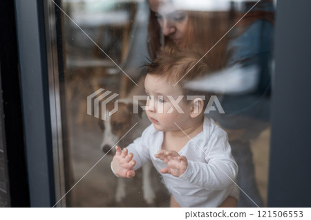 Cute baby boy and Jack Russell terrier dog looking through the patio window.  121506553