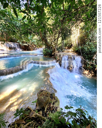 Laos: Clear water and green paradise of Kuang Si Waterfall, Luang Prabang District 121507226