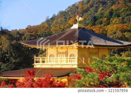 Rokuon-ji Temple, Kinkaku-ji Temple, and the Shariden Hall seen from in front of Anminzawa (Kita-ku, Kyoto) 121507956