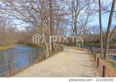 冬季 安曇野大王芥末農場 冬季 安曇野大王芥末農場 121508080