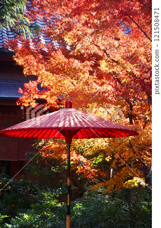 Gardens and Janome Umbrellas, Rokuon-ji Temple, and Kinkaku-ji Temple (Kita-ku, Kyoto) 121508471