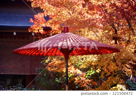 花園及Janome雨傘、六園寺、金閣寺（京都市北區） 121508472