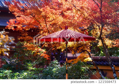 花園及Janome雨傘、六園寺、金閣寺（京都市北區） 121508473