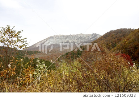 Mt. Daisen in Tottori Prefecture in late autumn: Autumn leaves and silver grass 121509328