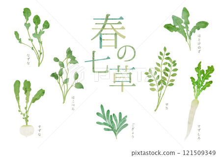 春天七草七草粥的水彩風格插畫手繪水彩插畫 121509349