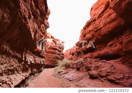 受侵蝕和風吹蝕形成的峽谷景觀 121510372