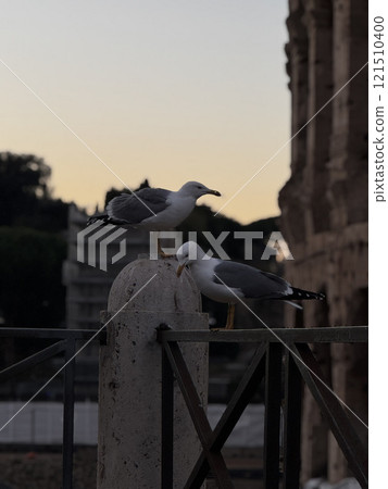 Two seagulls rest on a stone railing, with ancient Roman ruins in the background. The warm colors of sunset enhance the tranquil atmosphere of the historic location. Two seagulls rest on a stone railing, with ancient Roman ruins in the background. The warm colors of sunset enhance the tranquil atmosphere of the historic location. 121510400