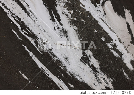 一群野山羊沿著斜坡排成一列（巴基斯坦紅其拉甫山口，四月） 121510758