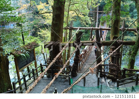 Iya's Kazura Bridge / One of Japan's Three Unusual Bridges [Zentoku, Nishiiyayama Village, Miyoshi City, Tokushima Prefecture] 121511011