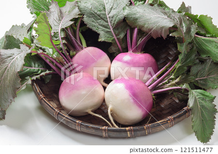 Winter vegetable: Purple turnip (ayameyuki) 121511477