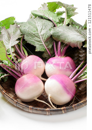Winter vegetable: Purple turnip (ayameyuki) 121511478