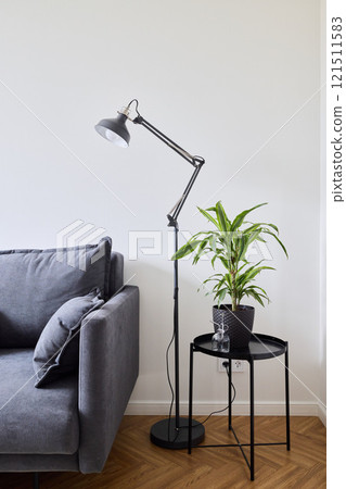 A Modern Living Room featuring a stylish Floor Lamp alongside a lovely Potted Plant for decor A Modern Living Room featuring a stylish Floor Lamp alongside a lovely Potted Plant for decor 121511583