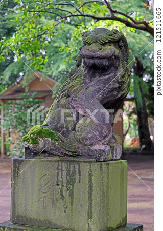 虎駒神社(調布) 虎駒神社(調布) 121511665