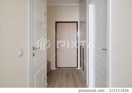 Modern Hallway Interior Design Featuring an Elegant Door and Inviting Aesthetic Appeal 121511926