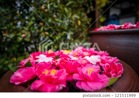 Photograph of the temple of Reika-san-ji Temple in Sakyo-ku, Kyoto City 121511999