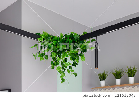 Exploring Modern Interior Design by Incorporating Greenery and Stylish Lighting Elements 121512043