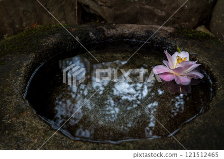 Photograph of the temple of Reika-san-ji Temple in Sakyo-ku, Kyoto City 121512465