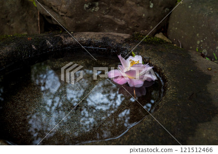 Photograph of the temple of Reika-san-ji Temple in Sakyo-ku, Kyoto City 121512466