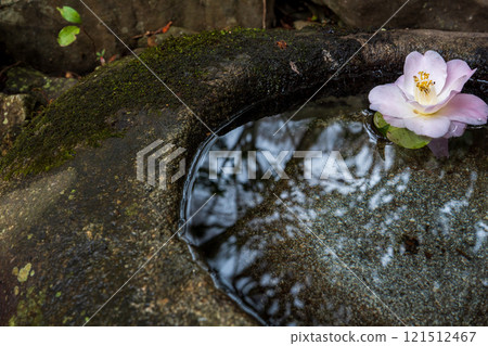 Photograph of the temple of Reika-san-ji Temple in Sakyo-ku, Kyoto City 121512467