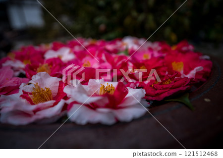 在京都市Sakyo-ku的Reika-san-ji寺廟的照片 121512468