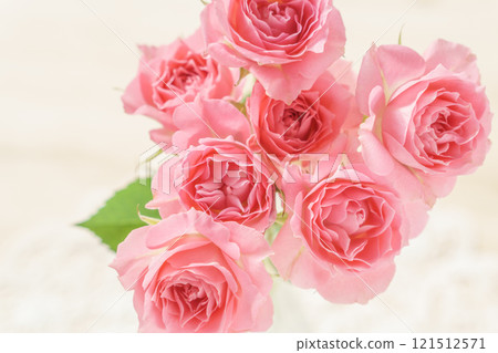 粉紅玫瑰排列的特寫 121512571