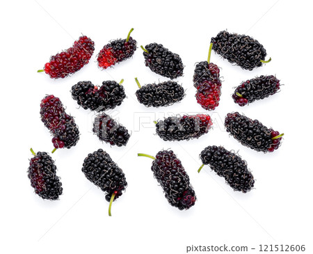 Mulberry isolated on white background 121512606