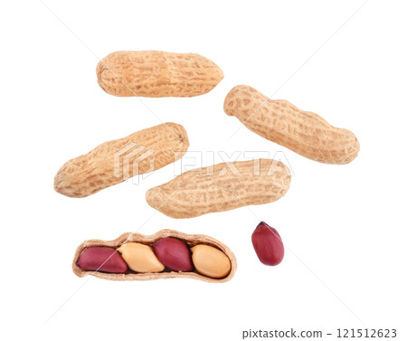 Top view of peanuts isolated on white background Top view of peanuts isolated on white background 121512623