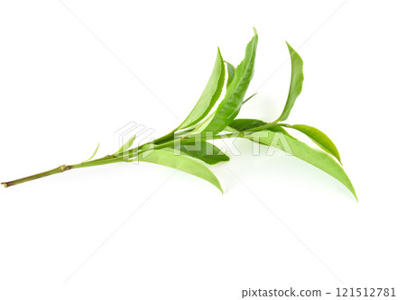 green tea leaf isolated on white background 121512781