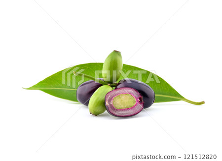 Jambolan plum or Java plum isolated on white background Jambolan plum or Java plum isolated on white background 121512820