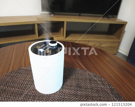 一款便攜式加濕器，有助於防止室內乾燥並改善您的美麗。 121513204