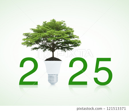 Happy new year 2025 ecology and saving energy concept 121513371
