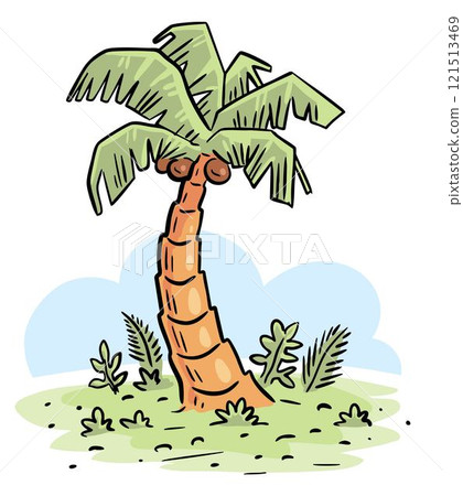 Tropical palm on white background Tropical palm on white background 121513469