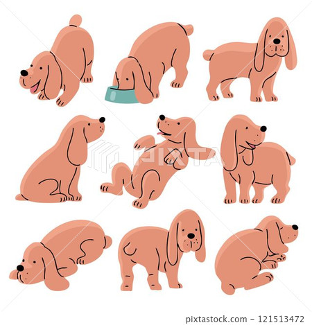 Set of pictures with a cute spaniel dog Set of pictures with a cute spaniel dog 121513472