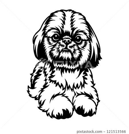 Shih Tzu Dog Breed - Pet Vector Cut file, Dog Silhouette Stencil - Cricut file 121513566