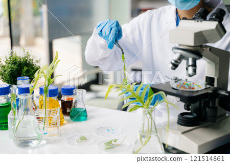 Biologist taking experiment with plants working in biochemistry laboratory. 121514861
