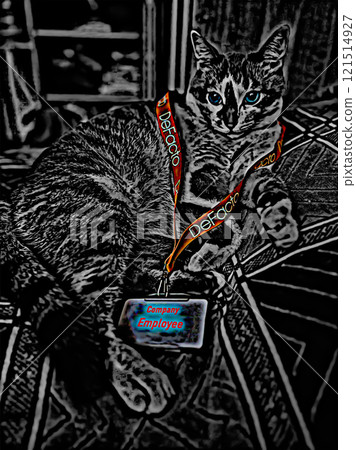 Front view of a cat lying on a bed. A domestic employee with higher-level clearance monitors what is happening. Front view of a cat lying on a bed. A domestic employee with higher-level clearance monitors what is happening. 121514927