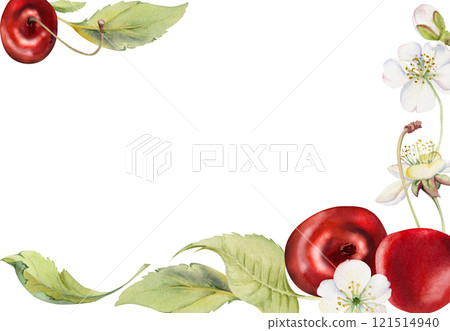 Sweet sour red cherry with green leaves, white flowers, hand drawn in watercolor, cerise berry clusters on stems. Corner frame horizontal illustration. Restaurant, cafe menu, wedding, farmers market 121514940
