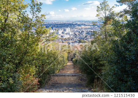 鶴金山善光林欣賞路階梯（兵庫縣） 121515430