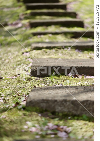 神社庭院的石階 - 春天的花園 神社庭院的石階 - 春天的花園 121515772