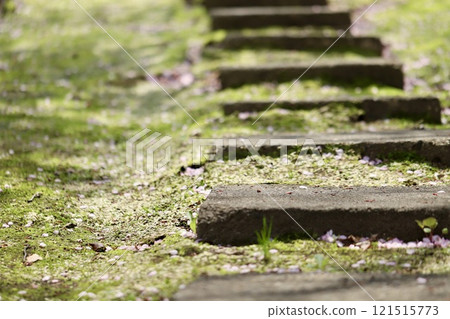 神社庭院的石階 - 春天的花園 121515773