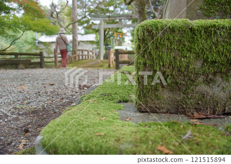 A person facing the cornerstone of the lantern and the torii gate 121515894