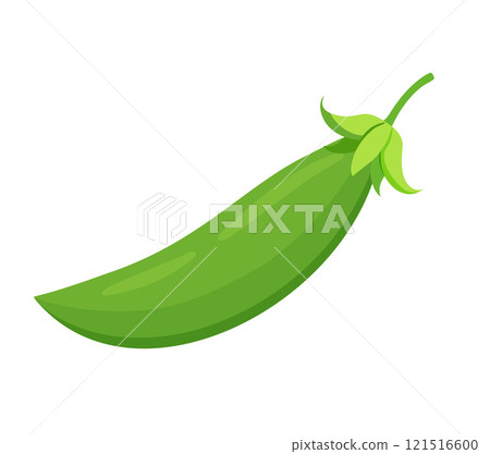 green peas vegetable for cooking meals. A bright element isolated on white for design. green peas vegetable for cooking meals. A bright element isolated on white for design. 121516600