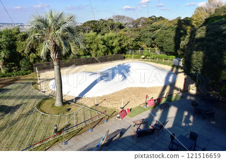 The fluffy dome at Enoshima Samuel Cocking Garden in Fujisawa, Kanagawa Prefecture 121516659