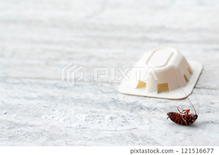 Insect problem with a cockroach and a pest control bait 121516677