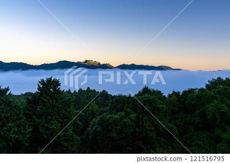 【日本名城百選】秋季雲海中漂浮的津和野城遺址 5 島根縣嘉子郡津和野町 121516795