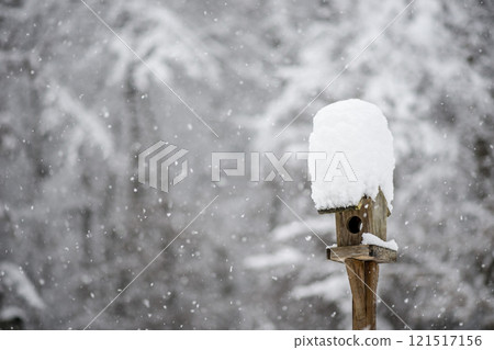 Bird feeder with a hat of winter snow 121517156