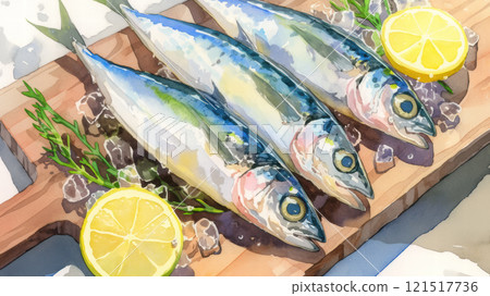 鯖魚畫水彩 鯖魚畫水彩 121517736