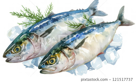 鯖魚畫水彩 121517737