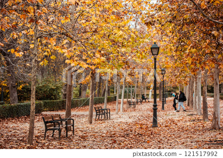 Tranquil alley Trees with yellowed foliage on the branches. Brown fallen leaves lying on a ground. Walk in autumnal park in a fall Bench and lamp post 121517992