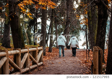City park with fall trees with yellow foliage in October, November. People view from behind strolling through the garden, park, parkland Wooden bridge 121517993